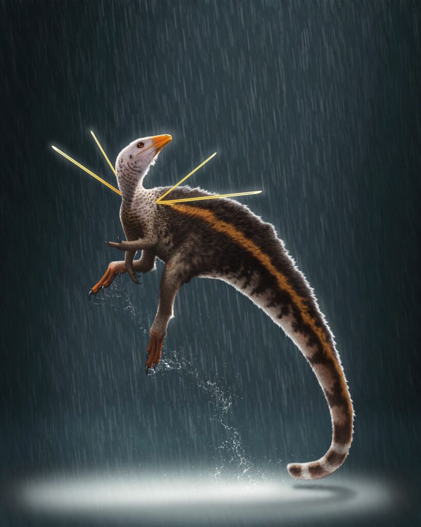 Releitura do dinossauro Ubirajara jubatus, fóssil da oficina de fósseis do mês do meio ambiente